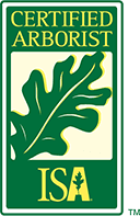 Certified Arborist Certified Arborist